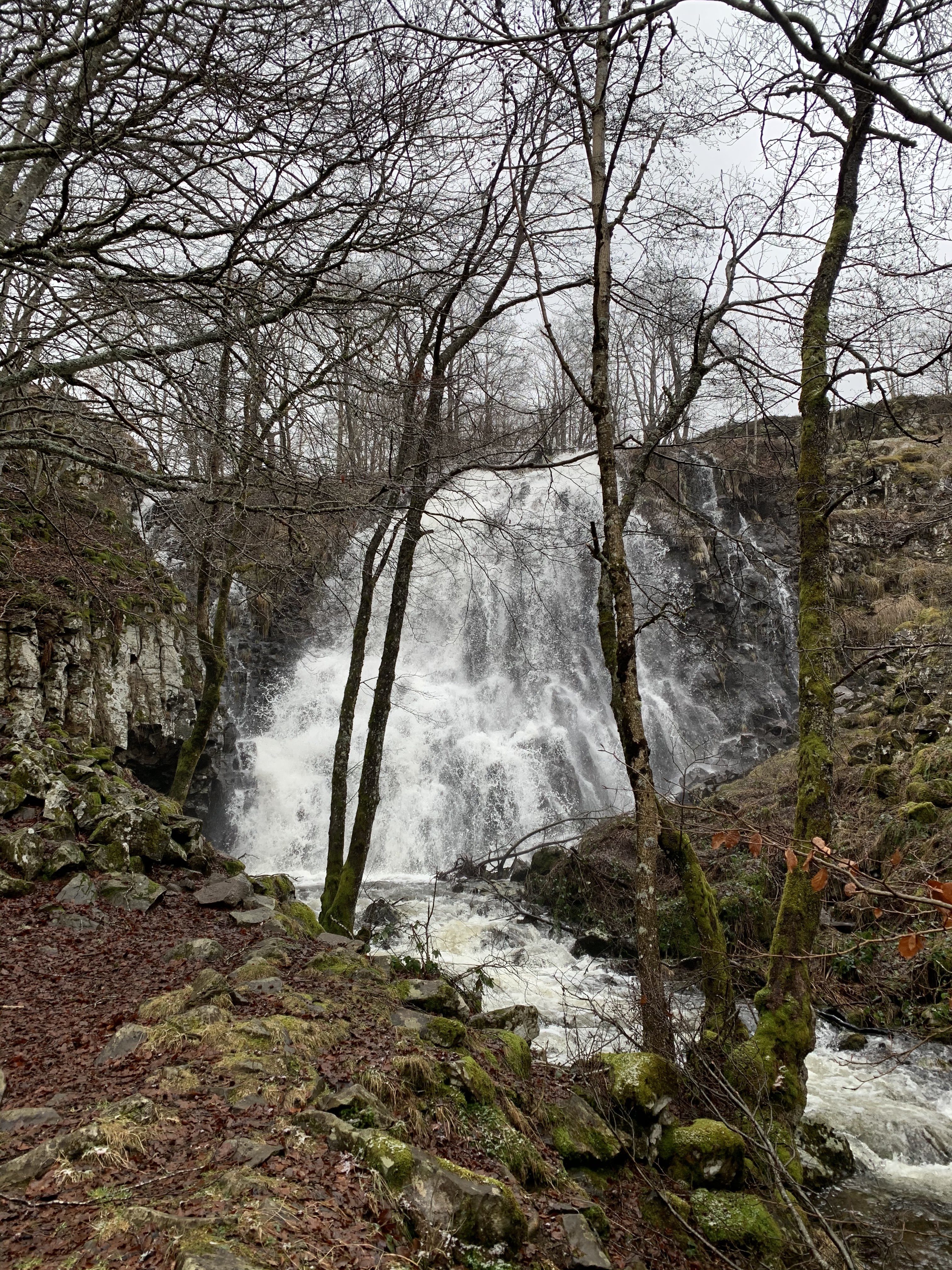 Photo n° 1 de l'avis de Auvergnates.n fait le 20/02/2023 à 14:47