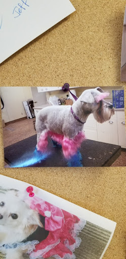 Pet Supply Store «The Farm Store», reviews and photos, 3956 Jacobs Ave, Eureka, CA 95501, USA