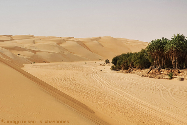 Kommentare und Rezensionen über indigo reisen - Kameltrekkings in der Sahara