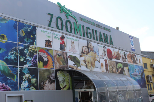 The Zoomiguana Megastore Of Animals