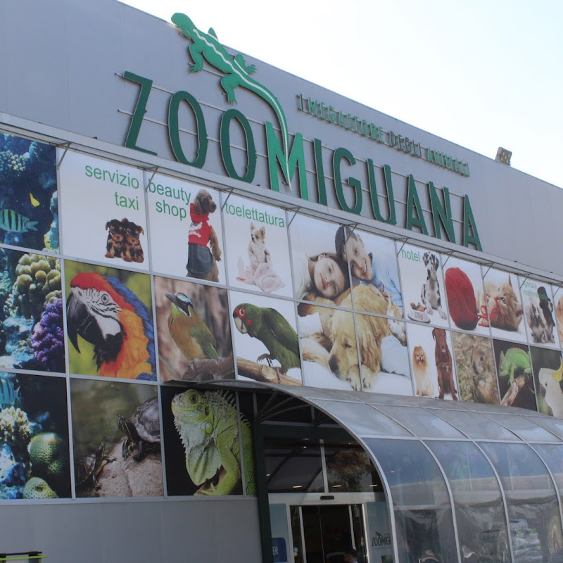 The Zoomiguana Megastore Of Animals