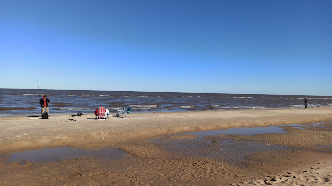 Encuentro Natural - Ciudad del Plata