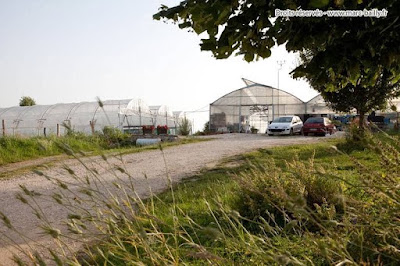 Le Potager Bio - EARL Les Serres de la Saône Jolie à Port-sur-Saône