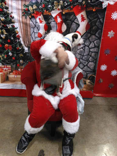 Pet Supply Store «PetSmart», reviews and photos, 2017 N Prospect Ave, Champaign, IL 61822, USA