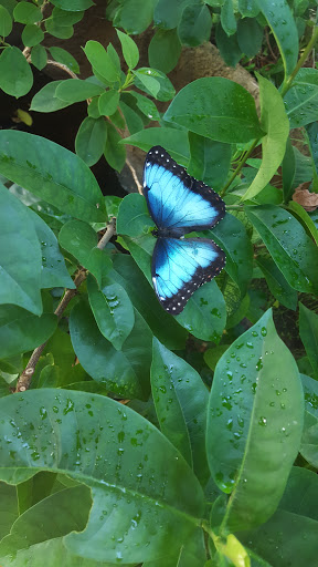 Foundation «The Henry Doorly Zoo», reviews and photos, 3701 S 10th St, Omaha, NE 68107, USA