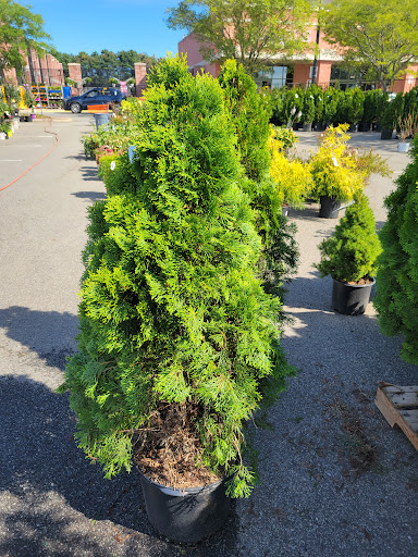 Home Improvement Store «The Home Depot», reviews and photos, 1550 Old Country Rd, Riverhead, NY 11901, USA