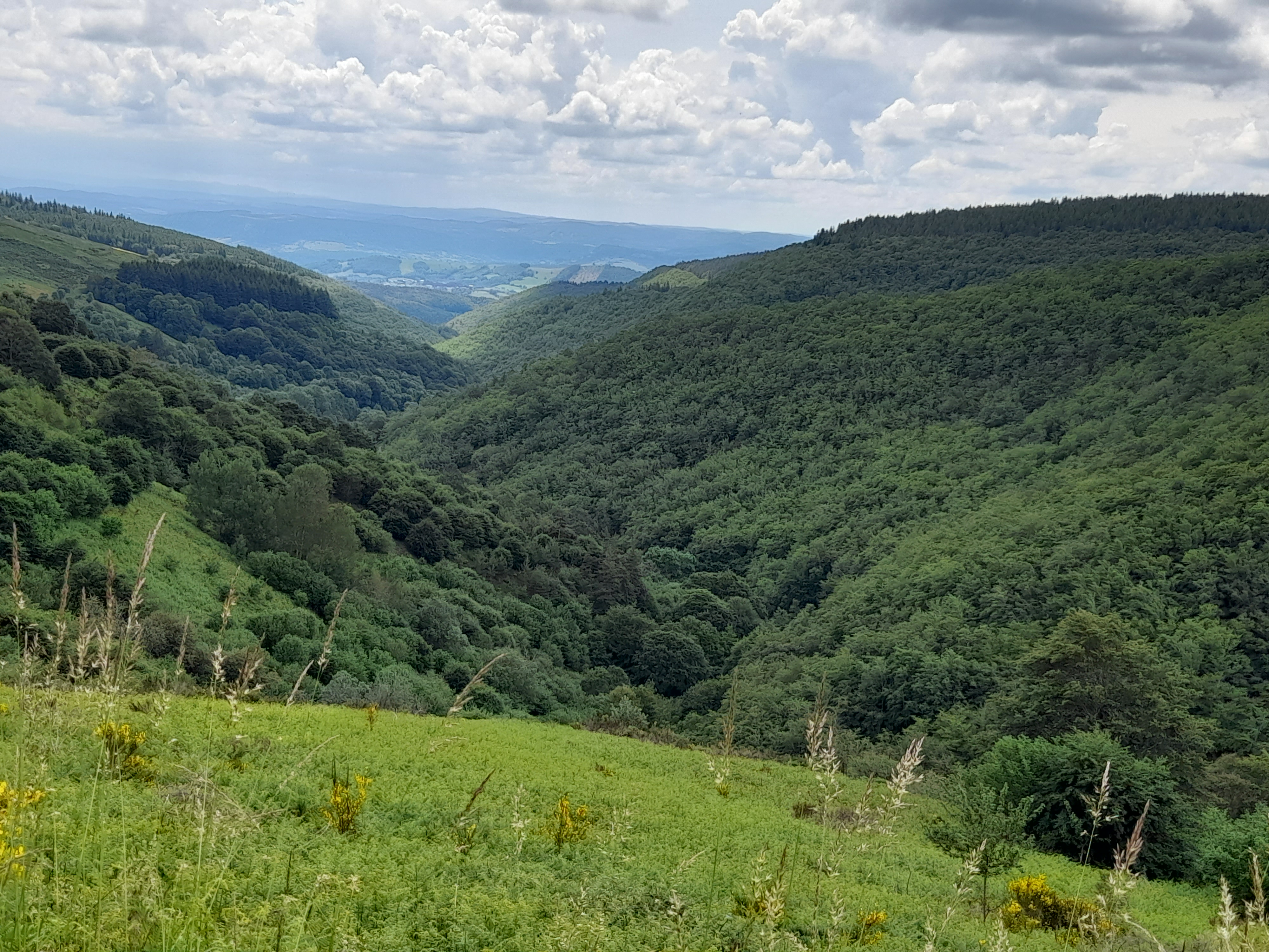 Photo n° 2 de l'avis de Roland.r fait le 12/06/2023 à 17:09