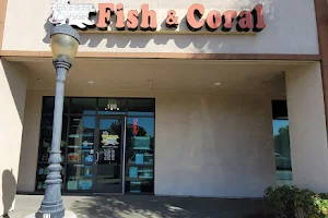 Tropical Reef Fish Store image