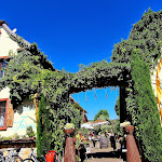 Photo n°3 de l'avis de R.G.. fait le 11/08/2023 à 09:48 sur le  Café Solo à Weisenheim am Berg