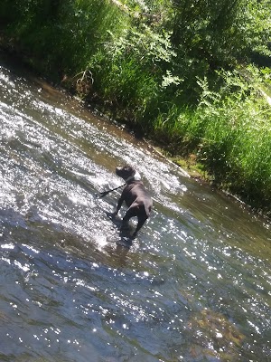 Anderson Park - photo 53