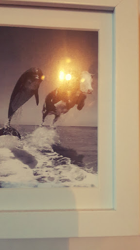 Ice Cream Shop «Cow Tipping Creamery», reviews and photos, 4715 S Lamar Blvd, Austin, TX 78745, USA