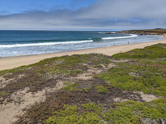 Pistachio Beach