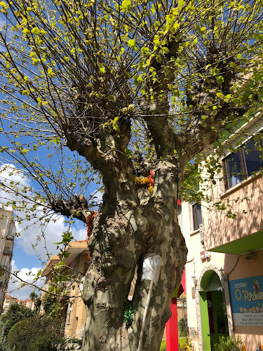 Colégio O Rezingão - Sintra