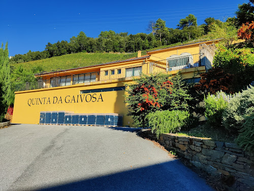 Alves de Sousa - Douro and Port Wines, Quinta da Gaivosa em Santa Marta de Penaguião