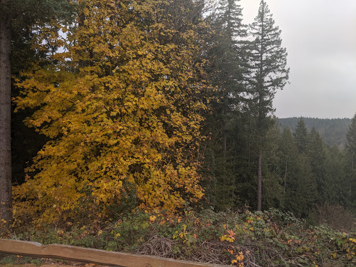 Forestry Service «Hopkins Demonstration Forest», reviews and photos, 16750 S Brockway Rd, Oregon City, OR 97045, USA