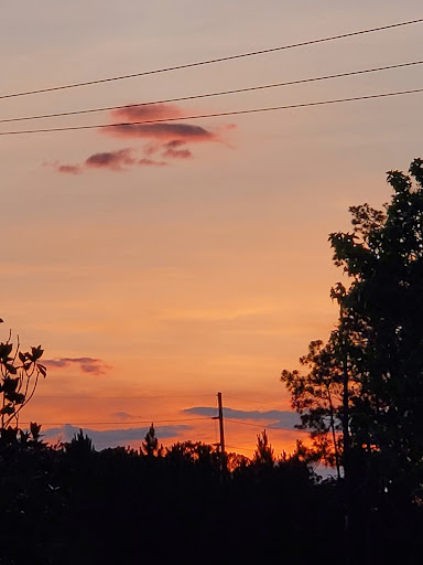 Sporting Goods Store «Nike Factory Store», reviews and photos, 15609 FL-535, Orlando, FL 32821, USA