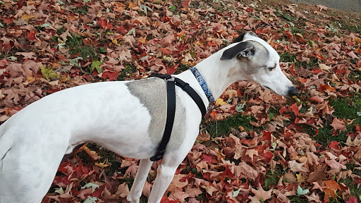 Park «Lake Shore Park», reviews and photos, 9610 E Shore Dr, Oak Lawn, IL 60453, USA