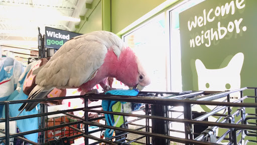 Pet Supply Store «Pet Supplies Plus», reviews and photos, 1030 Main St #10, Waltham, MA 02451, USA