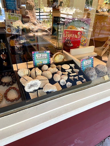 National Forest «Petrified Forest», reviews and photos