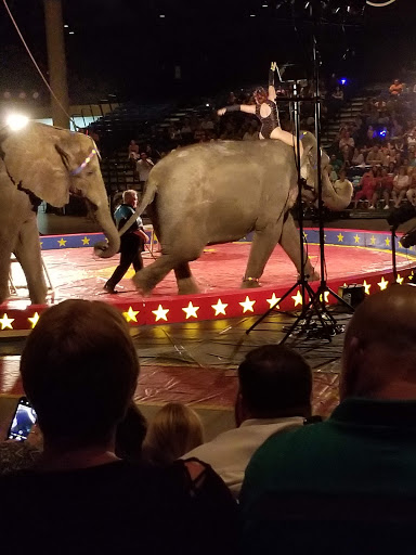 Convention Center «Bradenton Area Convention Center», reviews and photos, 1 Haben Blvd, Palmetto, FL 34221, USA