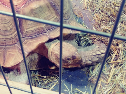 Pet Groomer «We Lov Pets», reviews and photos, 3853 Northpointe Dr, Zanesville, OH 43701, USA