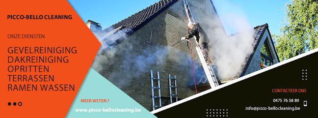 Picco-Bellocleaning