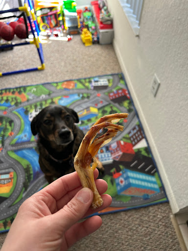 Woof Gang Bakery & Grooming Spring Hill