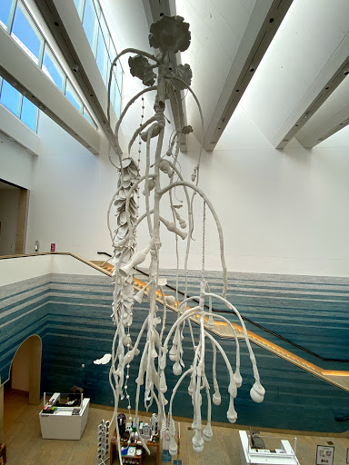 Art Museum «Blanton Museum of Art», reviews and photos, 200 E Martin Luther King Jr Blvd, Austin, TX 78701, USA