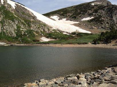 Alpine Rescue Team