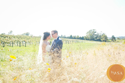 Wedding Venue «Faithbrooke Barn and Vineyards», reviews and photos, 267 Elgin Dr, Luray, VA 22835, USA