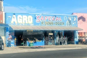 PetShop Agro Sapezal image