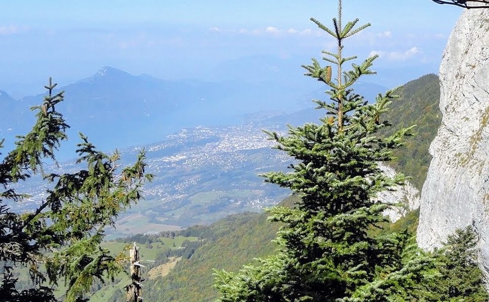 Photo n° 1 de l'avis de Jean-Luc.O fait le 29/04/2020 à 15:30