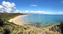 Bakers Beach'in fotoğrafı çok temiz temizlik seviyesi ile