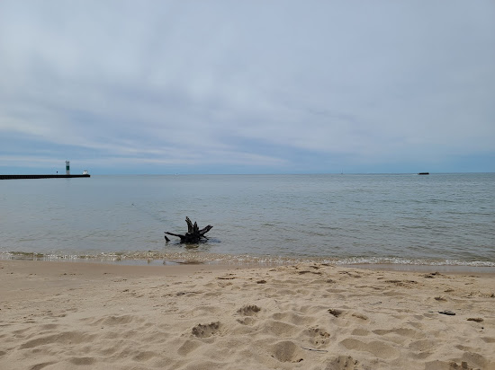 Medbery Park Beach