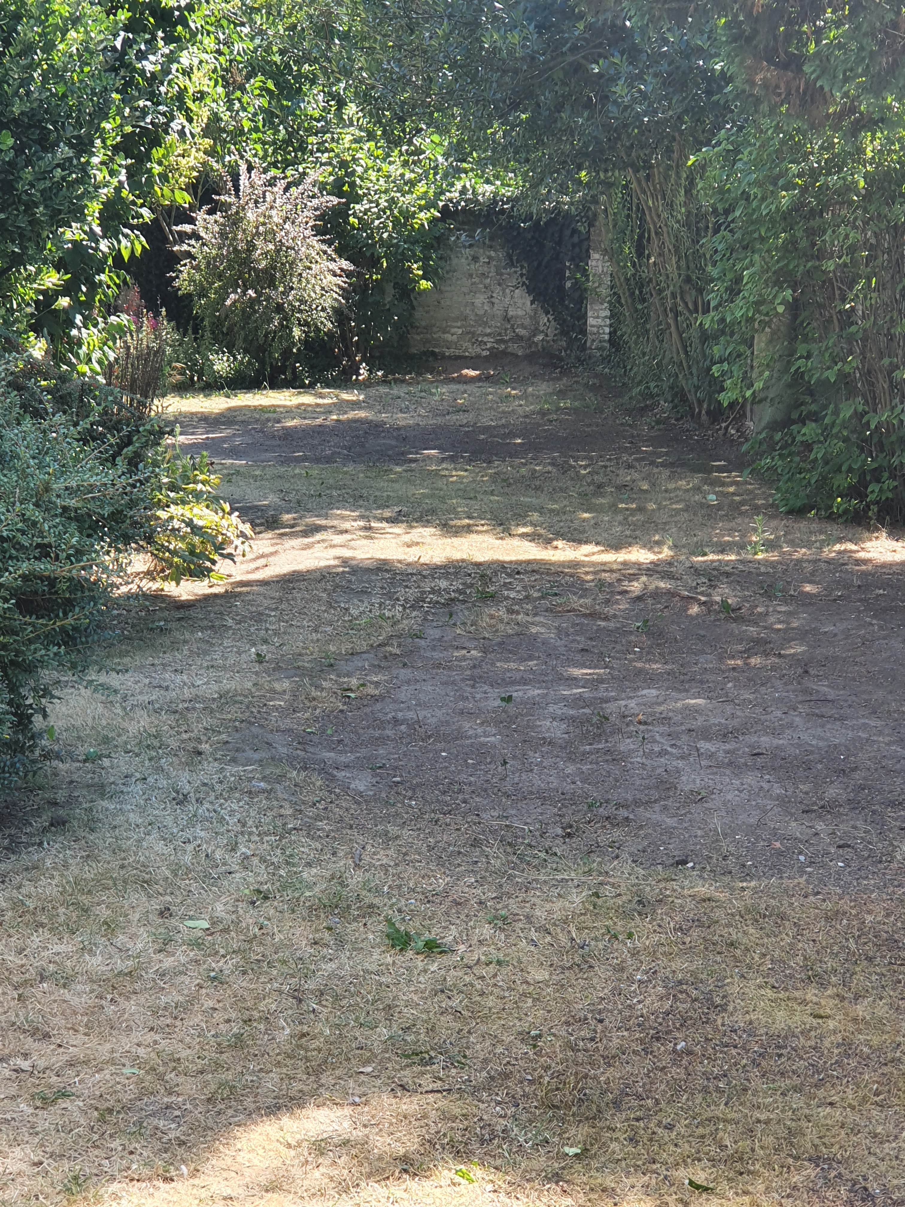 Photo n° 1 de l'avis de mathilde.a fait le 12/08/2022 à 19:11