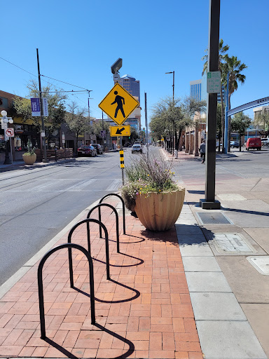 Performing Arts Theater «Fox Tucson Theatre», reviews and photos, 17 W Congress St, Tucson, AZ 85701, USA