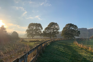 Quarry Paddocks