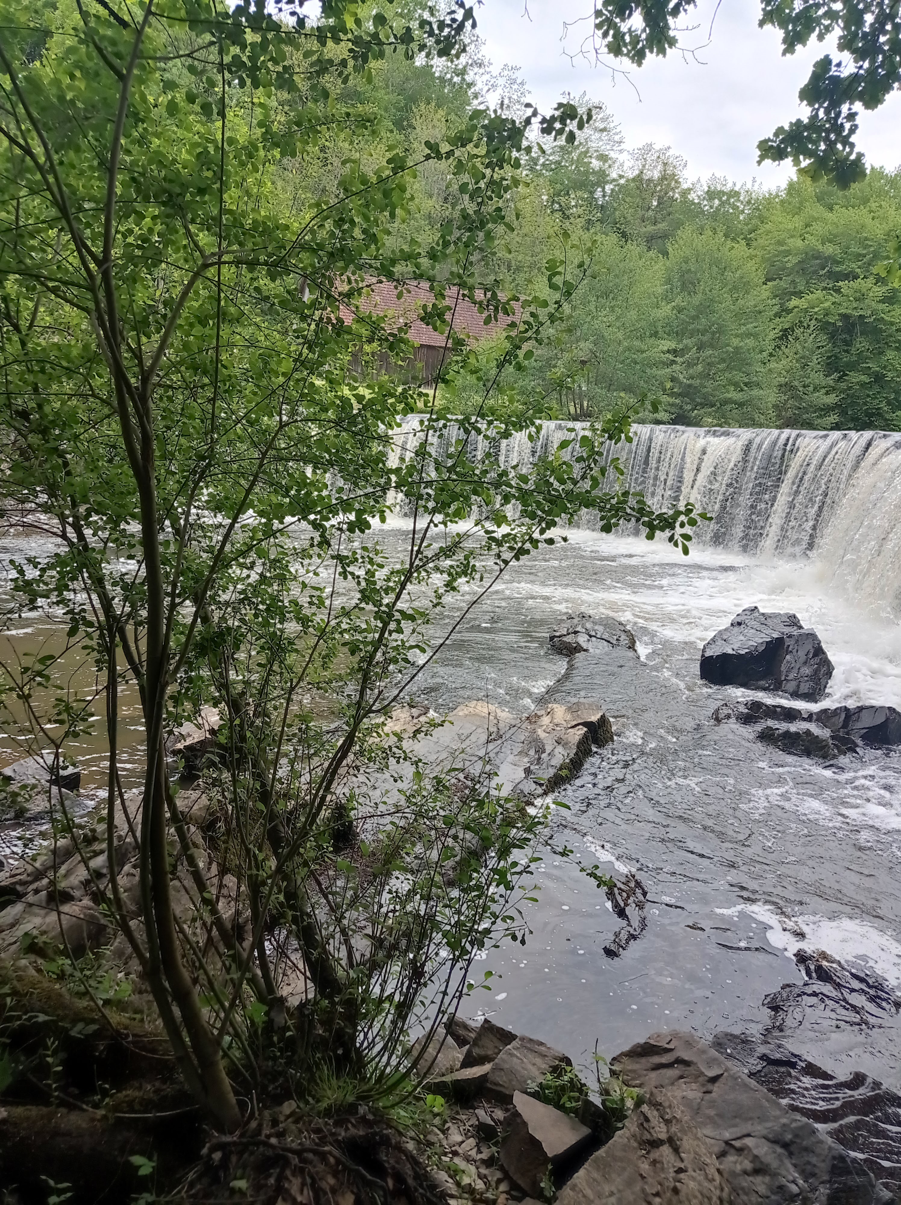 Photo n° 4 de l'avis de Sebastien.e fait le 24/05/2023 à 11:45