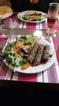 Kebab du Restaurant indien RESTAURANT JAIPUR (Proche place Wilson et Rue Coupé de Longvic) à Dijon - n°3