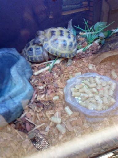 Pet Supply Store «PetSmart», reviews and photos, 860 NE Mall Blvd, Hurst, TX 76053, USA