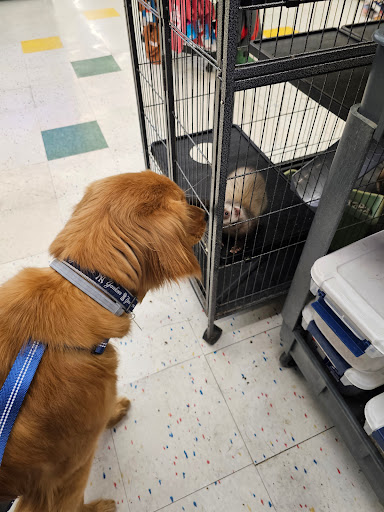 Pet Supplies Plus Fairport