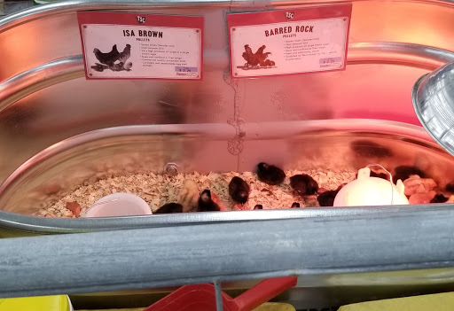 Home Improvement Store «Tractor Supply Co.», reviews and photos, 1550 Whitehall Rd, Muskegon, MI 49445, USA