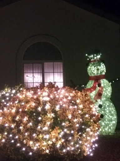 Discount Store «99 Cents Only Stores», reviews and photos, 3140 Stockton Hill Rd, Kingman, AZ 86401, USA