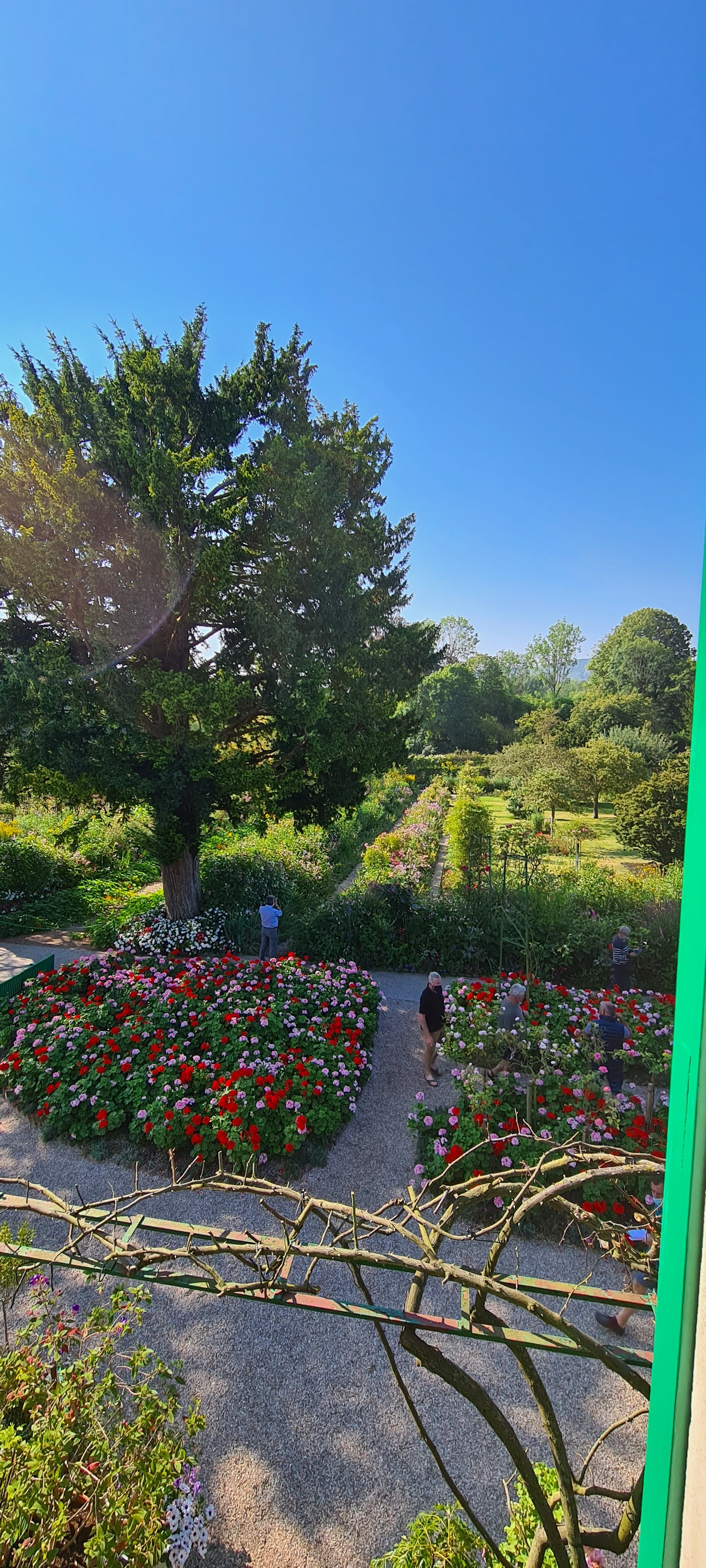 Photo n° 8 de l'avis de Gilles.o fait le 10/09/2021 à 06:37