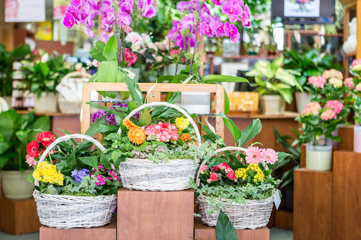 Florist «Blossom Flower Shops», reviews and photos, 980 McLean Ave, Yonkers, NY 10704, USA