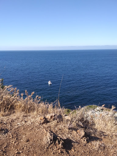 Gift Shop «Two Harbors General Store», reviews and photos, 1 Banning House Rd, Avalon, CA 90704, USA