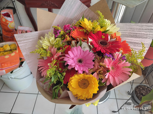 Floreria Mexico (local) – Aguascalientes