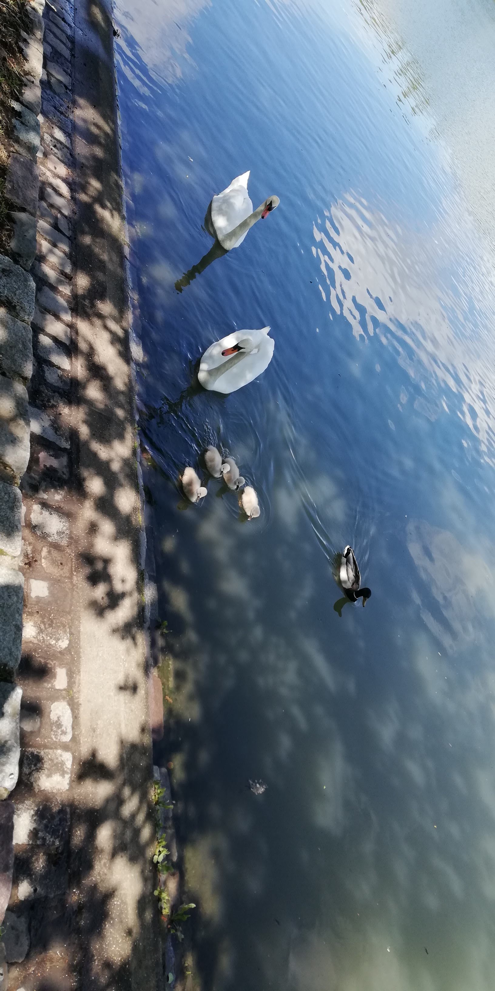 Photo n° 3 de l'avis de Florent. fait le 30/05/2019 à 03:52