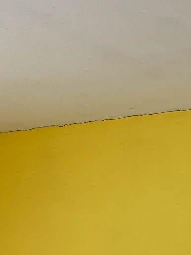 Painter «Rochester NY Painters», reviews and photos, 305 Inglewood Dr, Rochester, NY 14619, USA