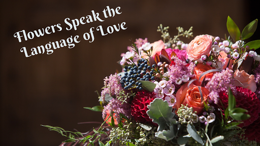 Florist «Twigs and Posies», reviews and photos, 2227 N Weber St, Colorado Springs, CO 80907, USA